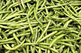 Green bean crops photo