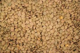 Kamande beans crop