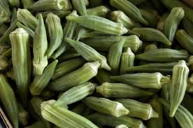 Okra crop photo