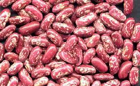 Rosecoco beans crops